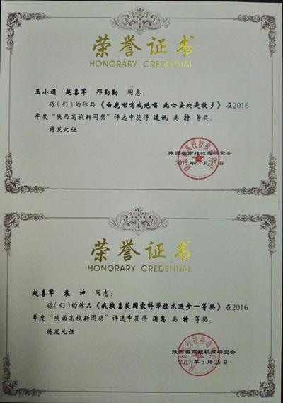 证书.jpg